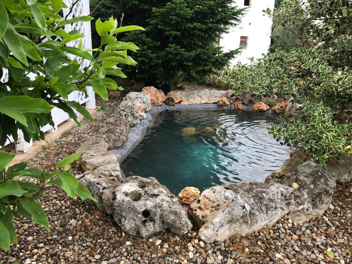 Trulli Petra Chiara Bed & Breakfast Locorotondo Exterior foto